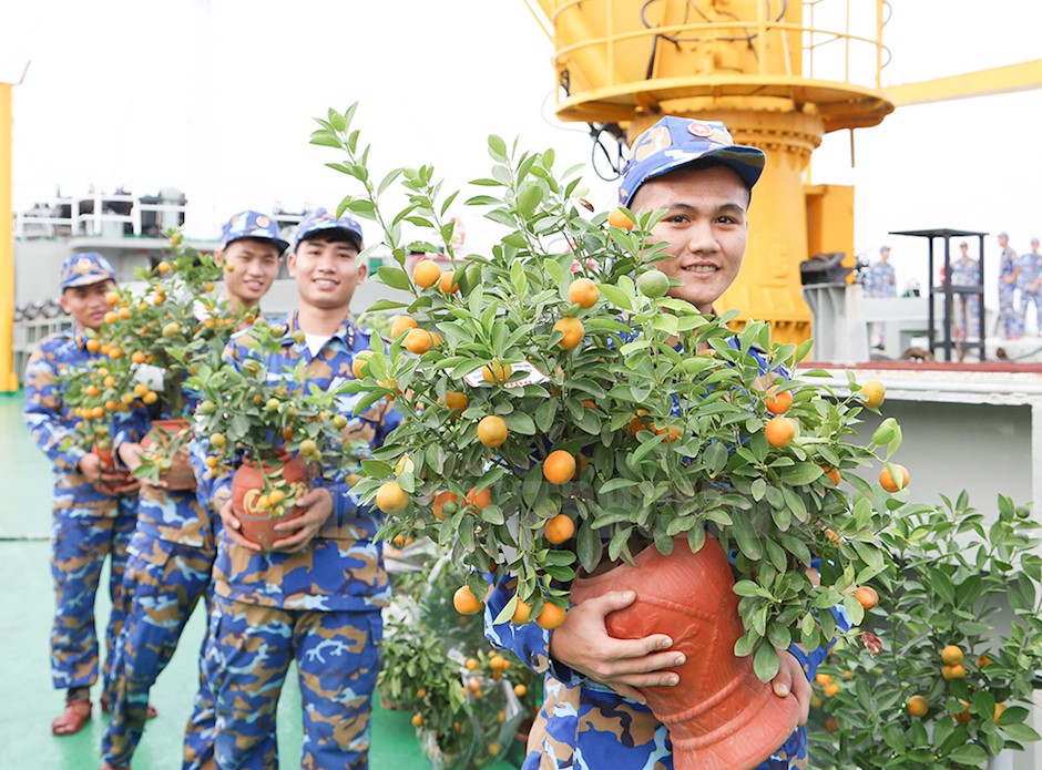 Những cây quất mang đậm hương vị tết đang được các chiến sĩ chuyển lên tàu