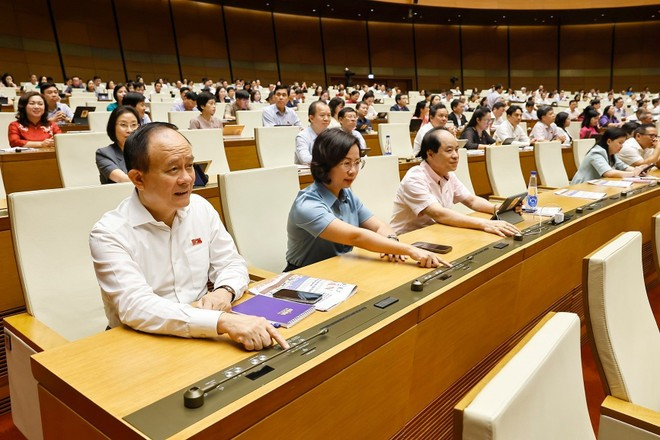 Nhấn vào ảnh để phóng to Các đại biểu Quốc hội biểu quyết thông qua các dự án Luật tại Kỳ họp thứ 9. (Ảnh: TTXVN)