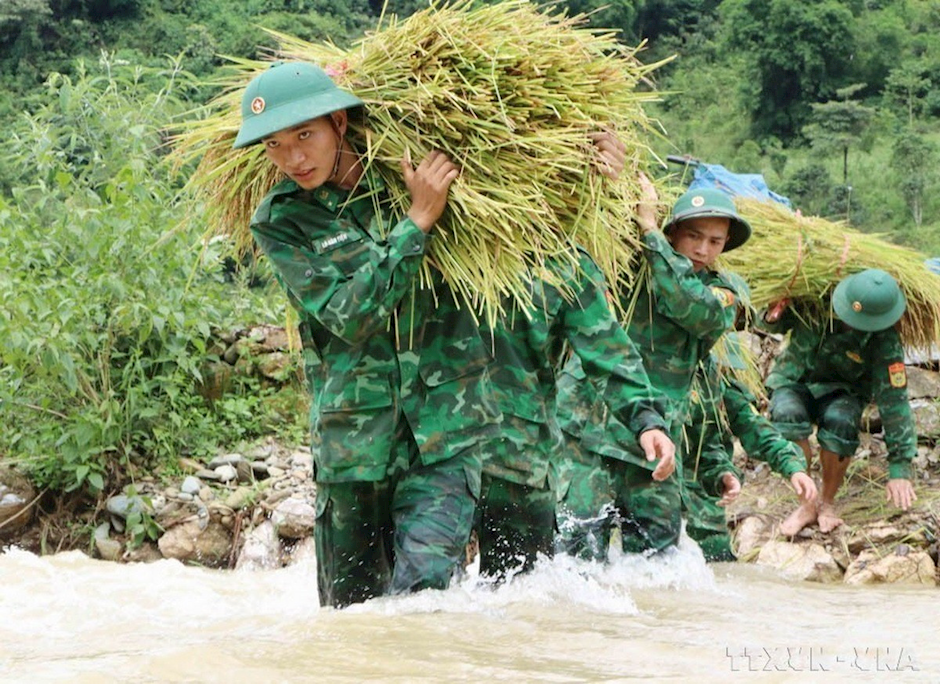 Chiến sỹ tiểu đoàn huấn luyện-cơ động, Bộ Chỉ huy Bộ đội Biên phòng tỉnh Lai Châu xuống đồng giúp bà con thu hoạch lúa 