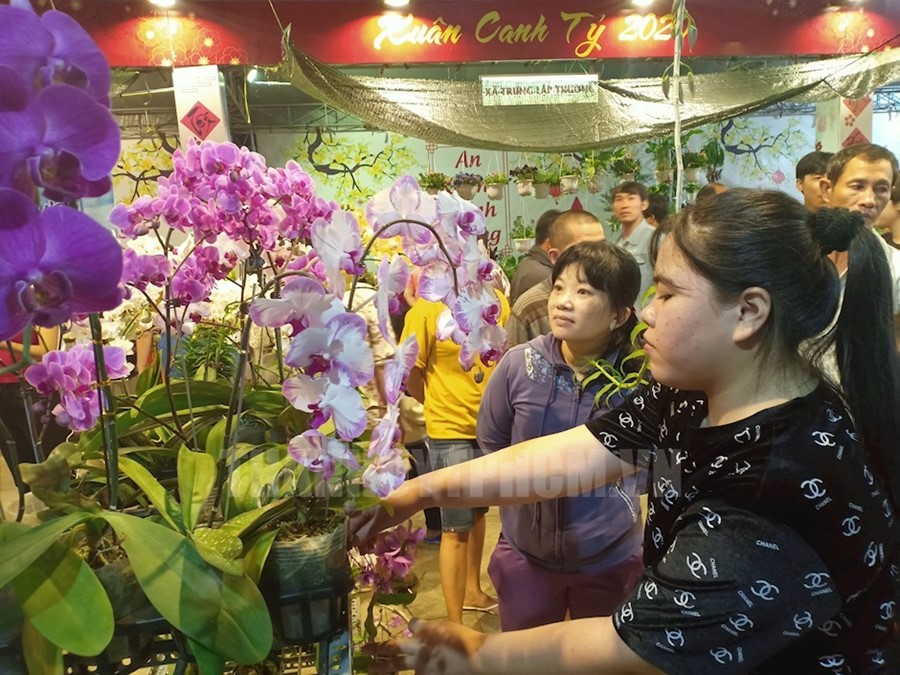 Người dân đến chợ hoa