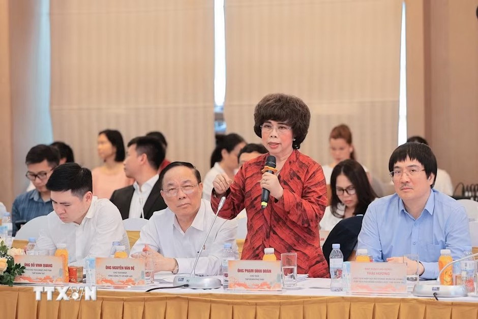 B&agrave; Th&aacute;i Hương, Chủ tịch Hiệp hội nữ doanh nh&acirc;n Việt Nam (VAWE), Chủ tịch Hội đồng chiến lược tập đo&agrave;n TH ph&aacute;t biểu tại hội nghị. (Ảnh: L&ecirc; Đ&ocirc;ng/TTXVN)