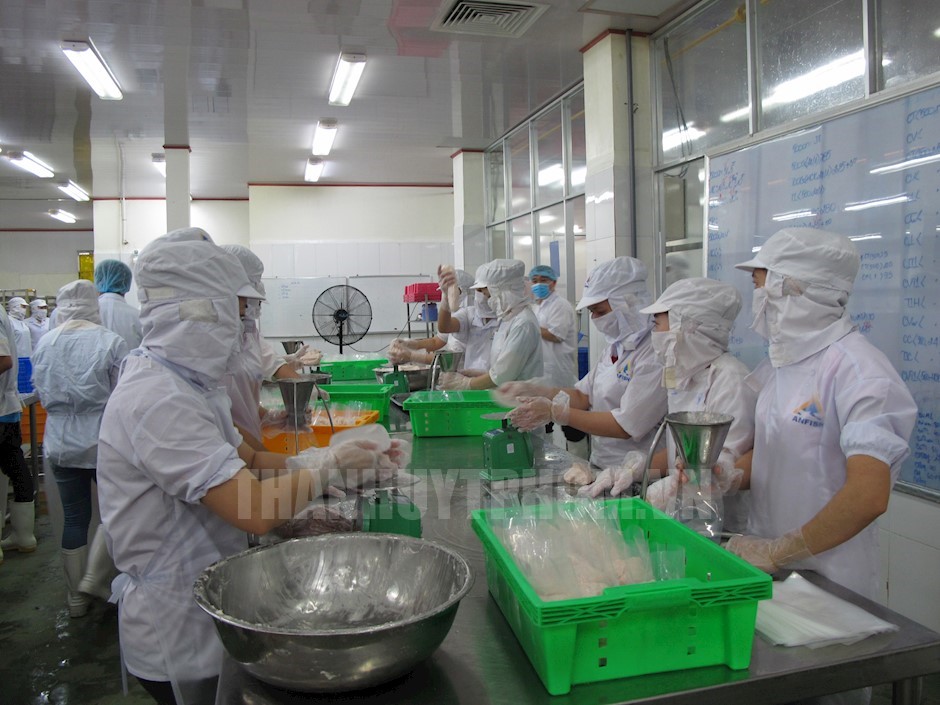 Sản xuất thực phẩm tại Công ty TNHH Thương mại Thoại An, quận Tân Phú