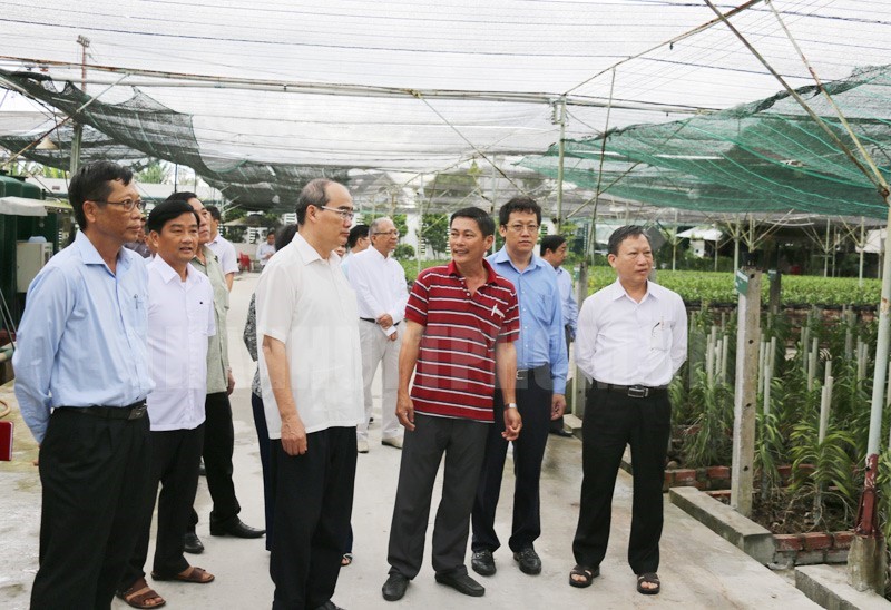 Bí thư Thành ủy TPHCM Nguyễn Thiện Nhân thăm mô hình vườn lan tại xã Tân Thông Hội