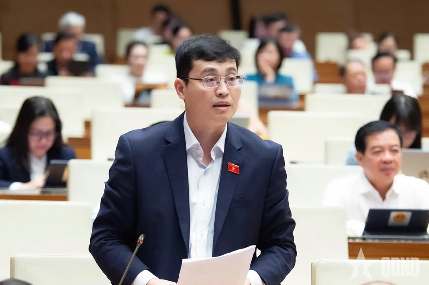 Đại biểu Đỗ Đức Hiển (đoàn TP Hồ Chí Minh) phát biểu thảo luận. 