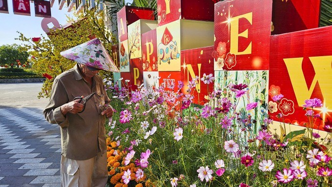 Nhân viên chăm sóc vườn hoa tại khu vực Phố Xuân của tổ hợp nghỉ dưỡng The Maris Vũng Tàu, phường Phước Thắng để phục vụ người dân, du khách vui xuân