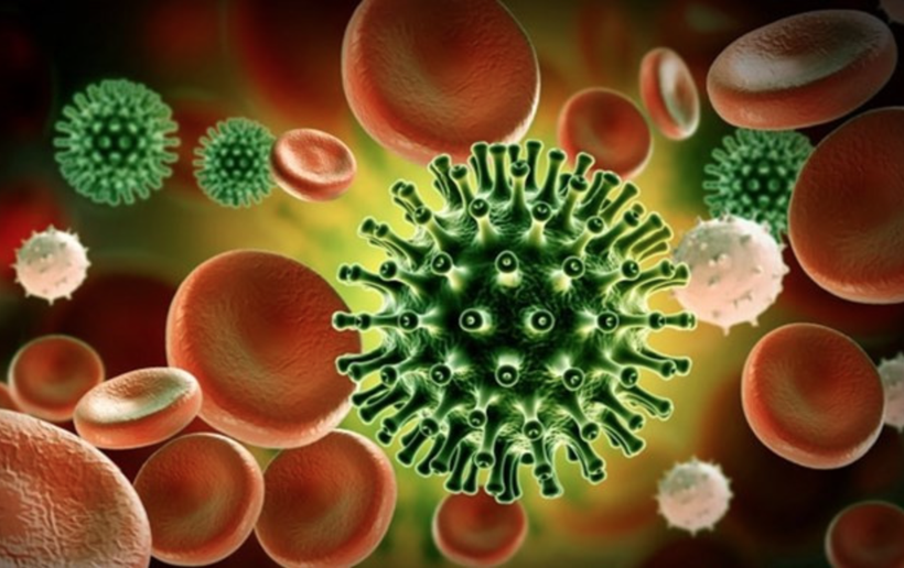 Ảnh minh họa. (Nguồn: who.int)