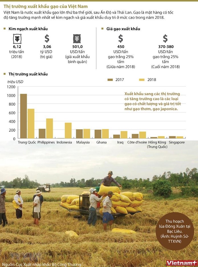 [infographics] Thị Trường Xuất Khẩu Gạo Của Việt Nam