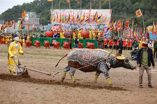 Lễ Hội Đọi Sơn: Khám Phá Nét Đẹp Văn Hóa Truyền Thống Việt Nam