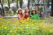 Hội Hoa Xuân (tổ chức từ 25 tháng Chạp đến mùng 6 Tết Nguyên đán) tại Công viên Tao Đàn (Quận 1): qua 39 lần tổ chức đã trở thành nét văn hóa đặc sắc của TP, đã lưu giữ lại trong ký ức của người dân TP và du khách nhiều kỷ niệm đẹp về một nơi thưởng lãm hoa, cây cảnh độc đáo trong ngày Tết.
