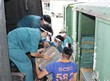 Lực lượng vũ trang TP hỗ trợ tiếp nhận 10.000 bánh chưng do đồng bào dân tộc tỉnh Hà Giang gói hỗ trợ người dân TP phòng chống dịch Covid-19.